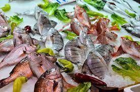 Mill j s ilmu ekonomi. 4 Jenis Ikan Yang Baik Untuk Turunkan Berat Badan Dari Salmon Sampai Tuna Pikiran Rakyat Com