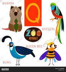 Animals that start with g; Cute Zoo Alphabet Vector Photo Free Trial Bigstock