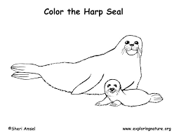 Subtitle of part of web page, if appropriate. Harp Seal Animal Coloring Pages Baby Coloring Pages Coloring Pages For Kids