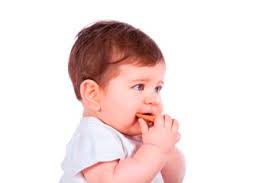 Ada saatnya anak susah makan karena sedang sakit misalnya tumbuh gigi sehingga sakit gusinya. Ini Daftar Makanan Tepat Untuk Bayi Yang Sedang Tumbuh Gigi Semua Halaman Nakita