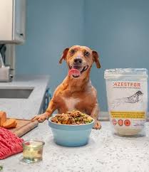 Vitamin supplements for dogs on homemade dog food. Vitamin Minerals Supplement Add To Homemade Dog Food Azestfor