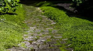 Le lastre di pietra devono. Vialetti Da Giardino Sentieri E Camminamenti Fai Da Te