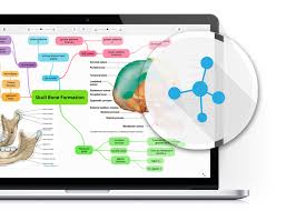 Utilize the toolbar at the top of your screen to add links, notes, or change the appearance of your mind map.once you're done, you are free to save, print, share, export, or otherwise publish your mind map for the world to see! Mind Map Goconqr