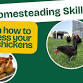 Homesteading Chicken Processing event image