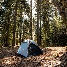 The land within the forest's boundary has three different characteristics as you travel from east to west. Wild Camping In Germany