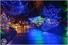 Pin By Julie Harrington On Tinsel Hunter Grace Holiday Lights Display Brookfield Zoo Zoo Lights