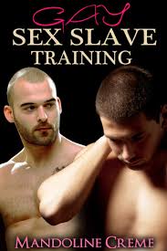 Sybian, training, slave training, train sex, slave bondage. Patdbooks Dublin 01 Ireland S Review Of Gay Sex Slave Training