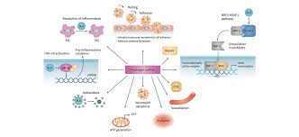 Why Hydrogen Sulfide Antibe