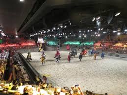 the cheering crowds picture of medieval times buena park