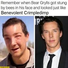 It can be scary not knowing how to treat bee stings on cats, or whether the reaction might be severe. Remember When Bear Grylls Got Stung By Bees In His Face And Looked Just Like Benevolent Crimpledimp Benedict Cumberbatch Starecat Com