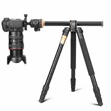 About 90% of tripods weigh less than 9 lbs. Q999h Horizontal Arm Professional Camera Tripod Portable Travel Tripod Stand With Ball Head For Canon Nikon Sony Dslr Dv Tripod Live Tripods Aliexpress