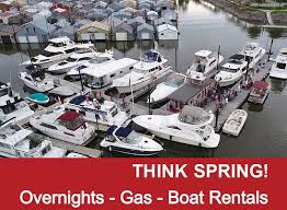 Image result for Red Marina 1993 UMM