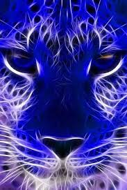 Tiger Scetch Fractal Art Animal Art Cat Art