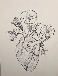 Pin By Ikia Hernandez On Random Human Heart Drawing Easy Heart Drawings Anatomy Art