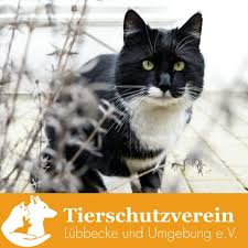 Tierheim Tierschutzverein Lübbecke u. Umgebung e.V.