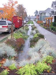 High Point Natural Drainage 30th Ave Sw South Of Graham Rain Garden Design Landscape Design Rain Garden