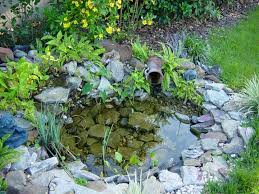 Annie Author At Iqlacrosse Com Page 33 Of 222 Small Water Gardens Water Features In The Garden Ponds For Small Gardens