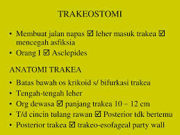 Penyakit Faring Dan Laring Ppt Download