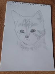 Kara Kalem Kedi Cizimi Black Pen Cat Drawing Steemit