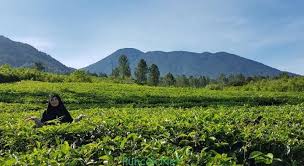 Objek wisata terbaru, kekinian & terhits paling populer dikunjungi saat liburan. 15 Tempat Wisata Di Bogor Instagramable Paling Hits 2021 Puncak Net