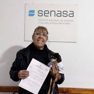 Meme 🐶 ya está rumbo a Paraguay con su familia! Antes del viaje, gestionaron el Certificado Veterinario Internacional (CVI) en Paso de los Libres, Corrientes ✓ 💻 Recordá que para viajar con