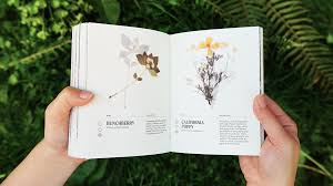 We did not find results for: Taylor Miles Hopkins Uw Design Show 2021