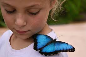 Fundraiser for Rebecca Hardin-Nieri by Olivia Hardin-Nieri : Outdoor  Academy Funds For Olivia