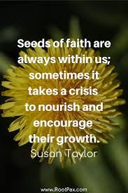 Perseverance Adversity Quote In 2020 Adversity Quotes Adversity Provocative Quotes