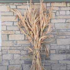 See more ideas about corn stalks, wool applique, wool quilts. Dried Corn Stalk Bundle Grimm S Gardens