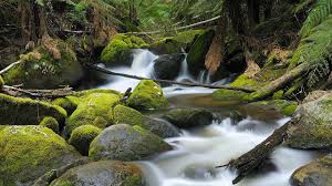 Versions for windows pc, mac, iphone, ipad and samsung galaxy siii. Beautiful Nature Images Free To Download