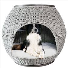 5 Best Igloo Dog Houses 2019 Review Thp