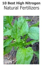 Organic is great for working into the soil, while granular fertilizers can be used during planting, and liquids are good for. 10 Best High Nitrogen Natural Fertilizers For Organic Gardens