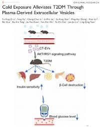 Int J Nanomed｜中南大学湘雅二医院代谢内分泌科袁凌青教授研究员团队：寒冷暴露通过血浆来源的细胞外囊泡缓解2型糖尿病- 外泌体资讯网