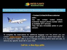 Contact United Airlines Customer Care United Airlines Airlines The Unit