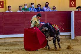 Villarrobledo celebrará una corrida mixta de figuras | Noticias La Tribuna  de Albacete