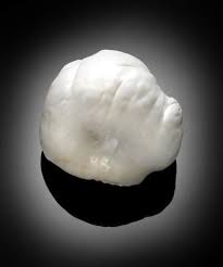 A Tridacna Gigas Pearl Which Is A Rare And Immense Natural Non Nacreous Pearl The Palawan Princess Pearls Palawan Princess