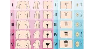 Image result for Precocious Puberty