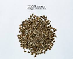 Image result for Polygala schinziana