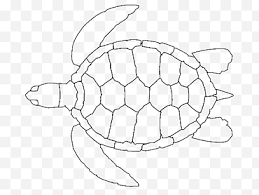 Green Sea Turtle Png Images Klipartz Sea turtle green ocean animal nature underwater wildlife marine character vector illustration. klipartz