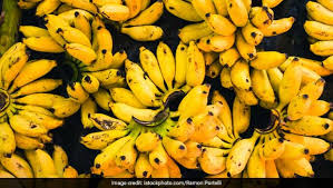 Ever Heard Of Elaichi Bananas The Desi Variety That Has Less Calories Ndtv Food The banana that the monkey was eating tasted like apples instead. ever heard of elaichi bananas the desi