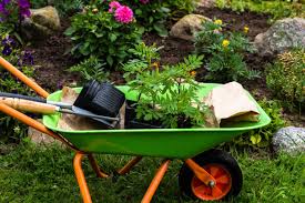 Using Wheelbarrows In Gardens How To Choose A Wheelbarrow For The Garden