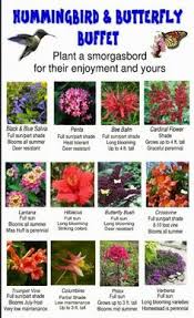 The flower heads not only draw in pollinators such as butterflies, but they attract a variety of birds, too. 34 Best Flowers That Attract Butterflies Ideas Flowers That Attract Butterflies Attract Butterflies Flowers