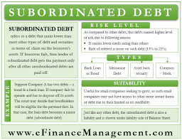 In the business world, bank loans and corporate or government bonds are the most common. Subordinated Debt Meaning Example Risk Type Accounting Efm
