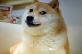 5 top elon musk dogecoin tweets elon musk is one of the big reasons doge has soared. Elon Musk S Fav Cryptocurrency Is A Joke But Its 2020 Returns Are No Laughing Matter