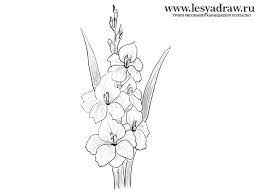 Maybe you would like to learn more about one of these? How To Draw A Gladiolus Flower Tattoo Drawings Gladiolus Tattoo Gladiolus Flower Tattoos