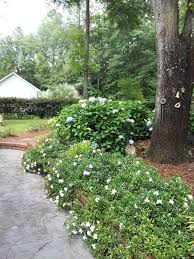 Pin On Landscaping