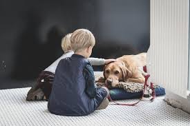 Pet euthanasia is never an easy decision, but you can make it as comfortable as possible. Tranquility Vets At Home Euthanasia