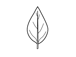 Image result for leaf shape obovate