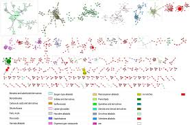 Image result for Strychnos gossweileri