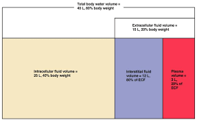 Electrolyte Fluid Balance